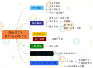 古都西安 思維之網，網絡技術服務的璀璨融合